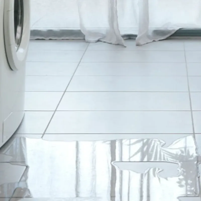 Appliance Leak Cleanup in Clinton County, MI