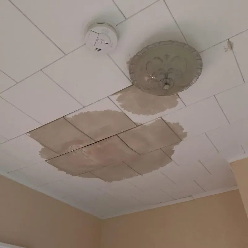 Ceiling Water Damage Repair in Clinton County, MI