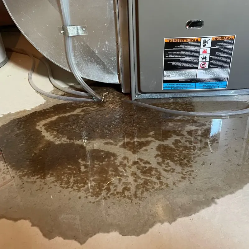 Pipe Burst and Leak Restoration in Clinton County, MI