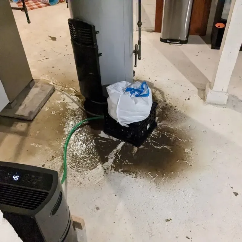 Sewage Backup Cleanup Service in Clinton County, MI